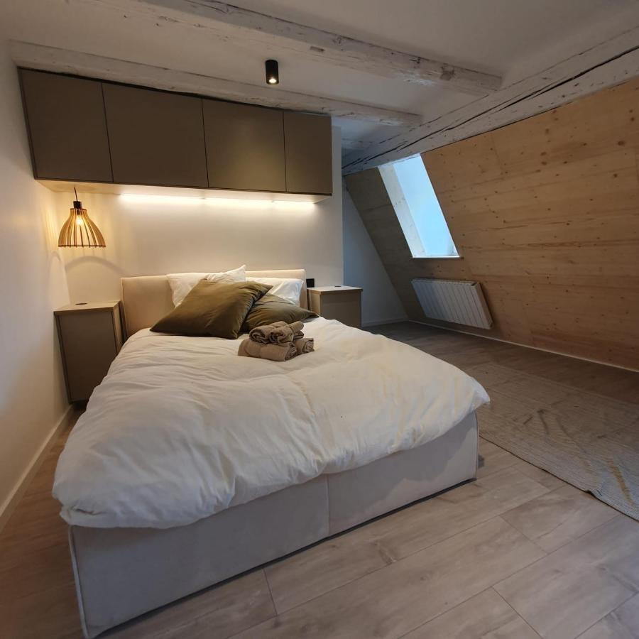 Les Appartements Hyper Centre Strasbourg Eksteriør billede